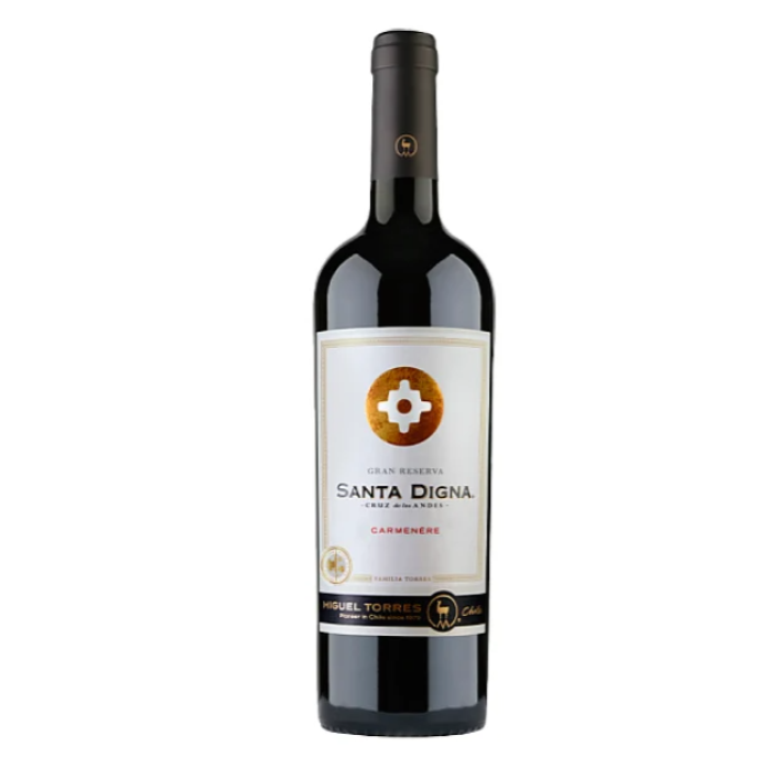 SANTA DIGNA CARMENERE
